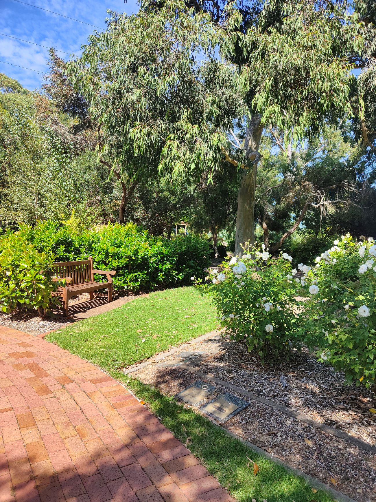 Centennial Park Banksia Court