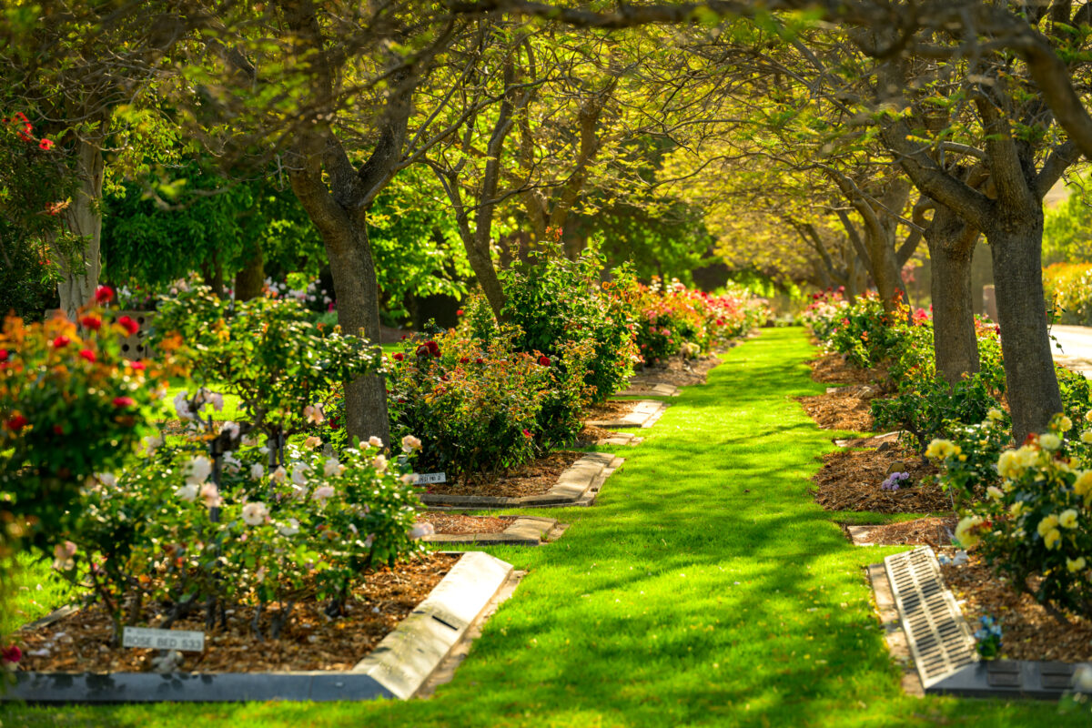 08-SOUT-EAST-GARDEN_241024_Z8C0509_DxO_WebRes