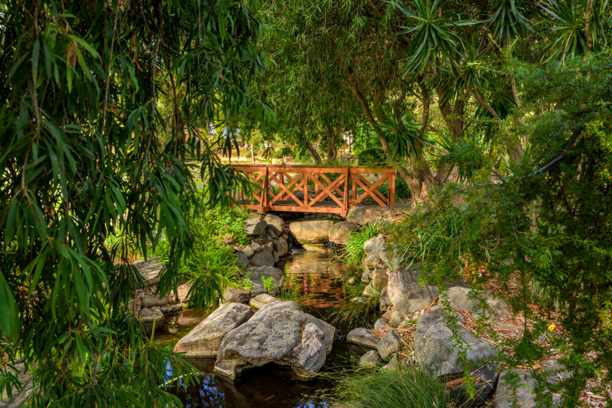 16-Springbank-Creek_240404_Z9E6114-Edit-240404-Edit-240404_WebRes