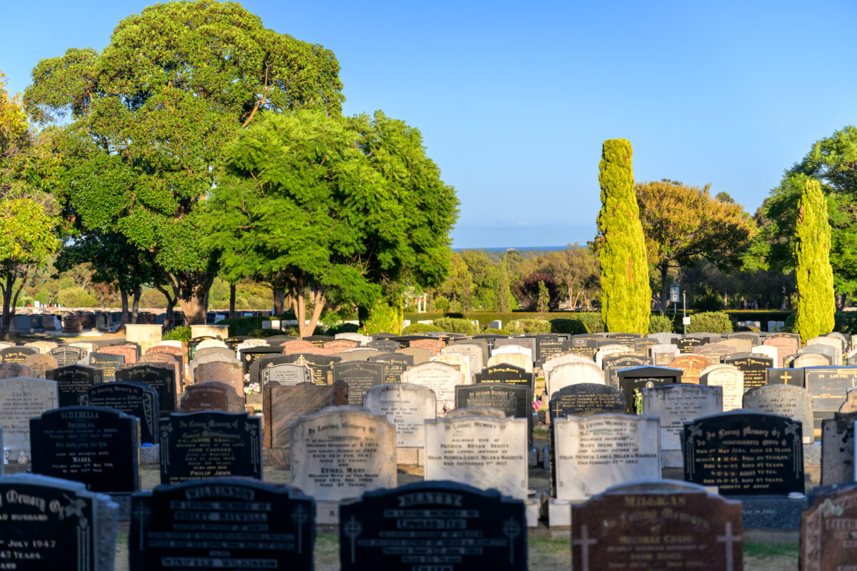 22-General_240405_Z8C2805-Edit-240405-Edit-240405_WebRes