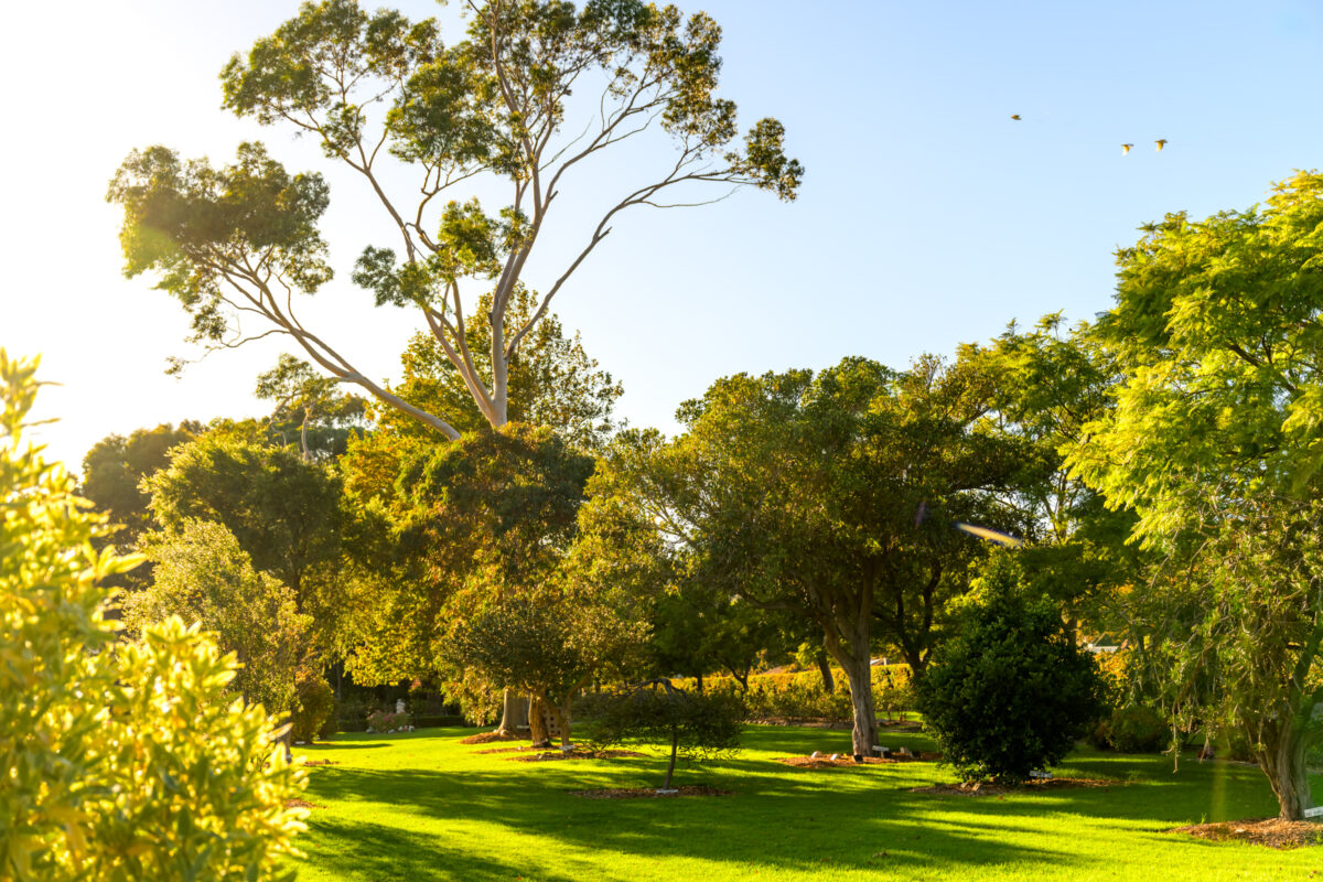 23-South-East-Garden_240405_Z8C2901-Edit-240405-Edit-240405_WebRes