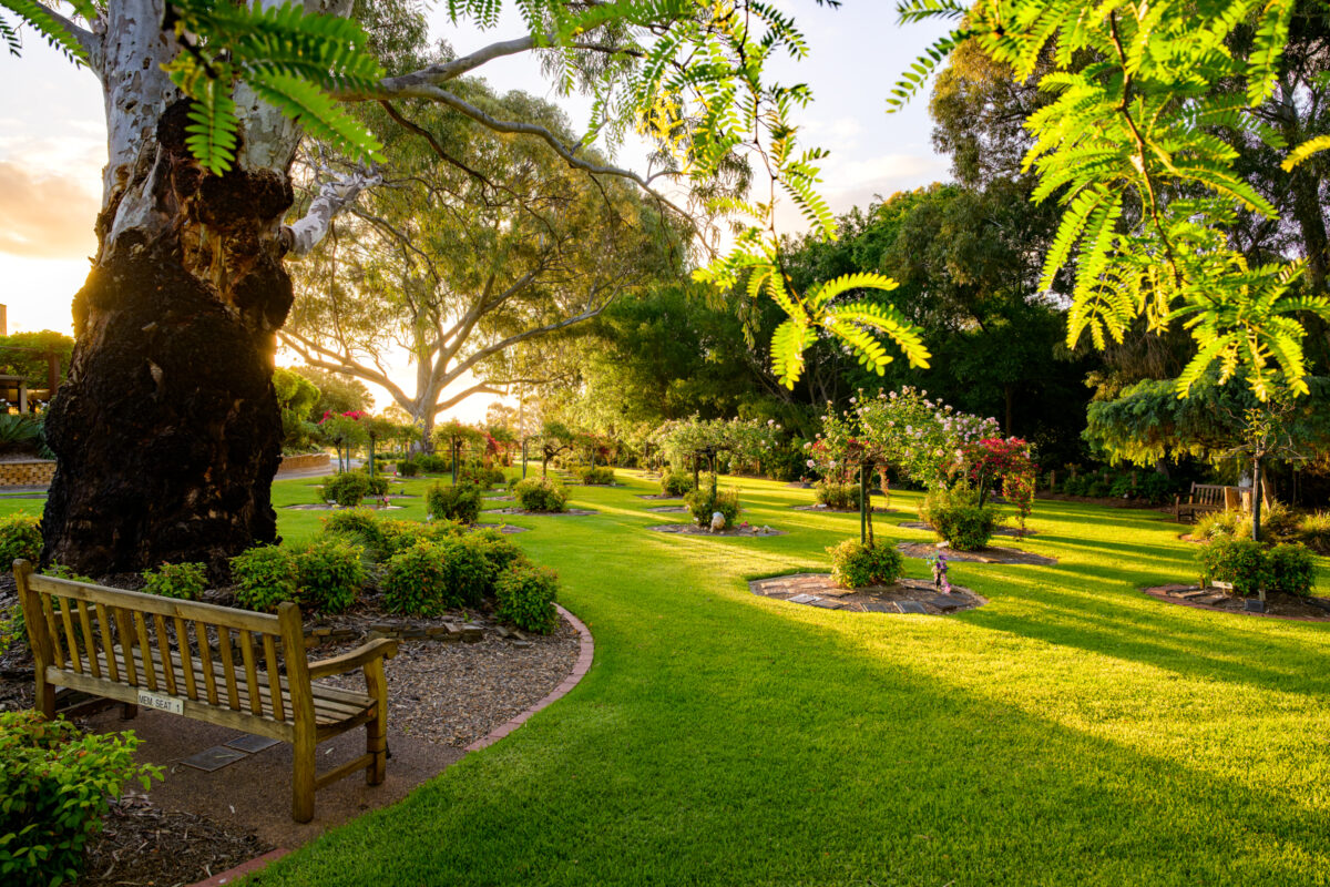 25-GARDENS_241024_Z9C4202_DxO-HDR_WebRes