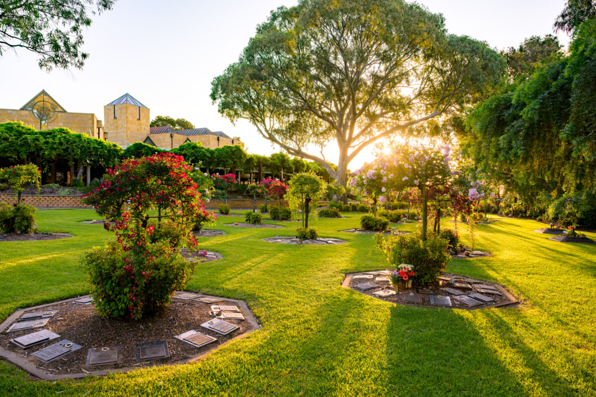 25-GARDENS_241024_Z9C4217_DxO-HDR_WebRes