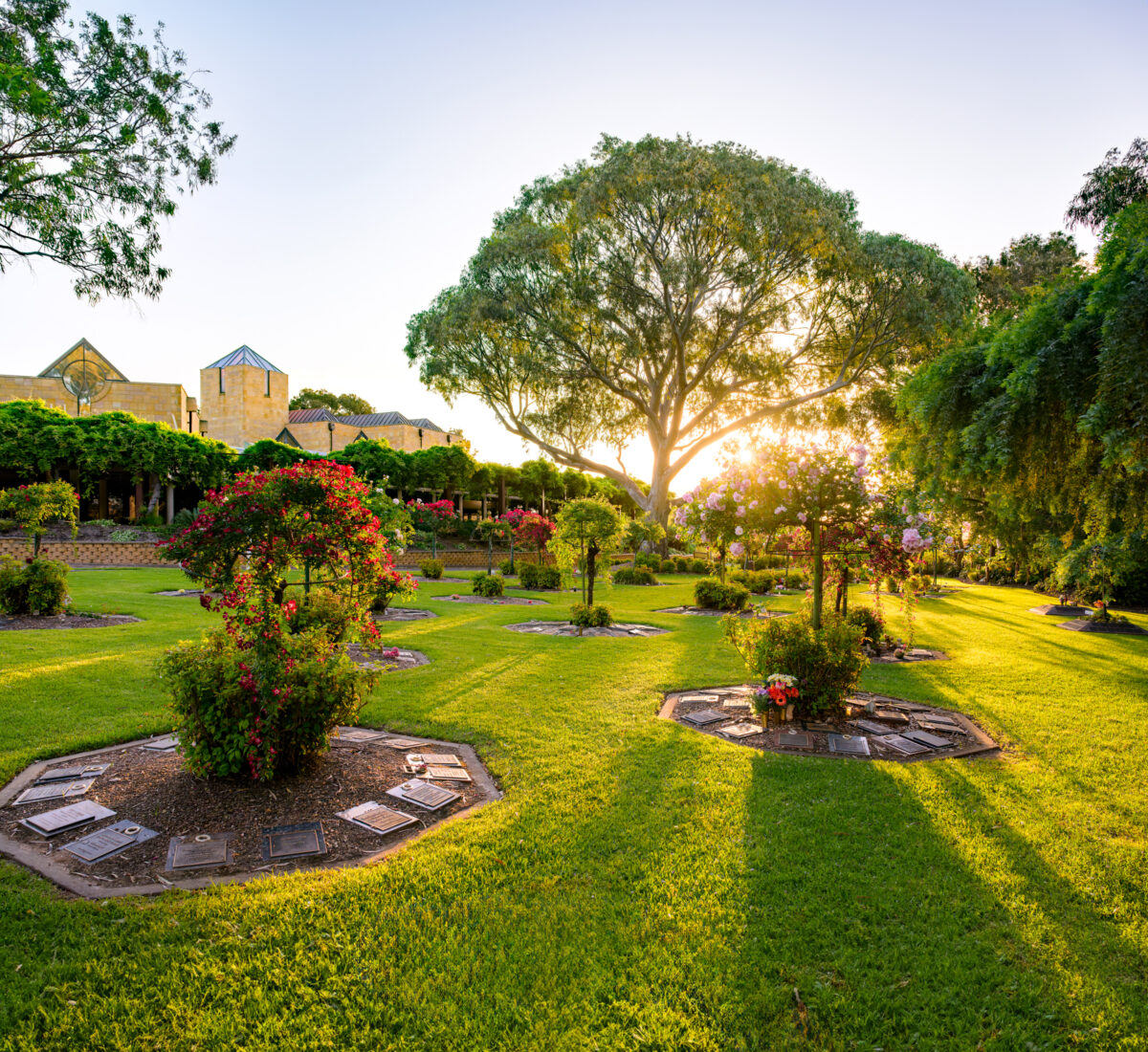 25-GARDENS_241024_Z9C4217_DxO-HDR_WebRes - - EDIT - expanded
