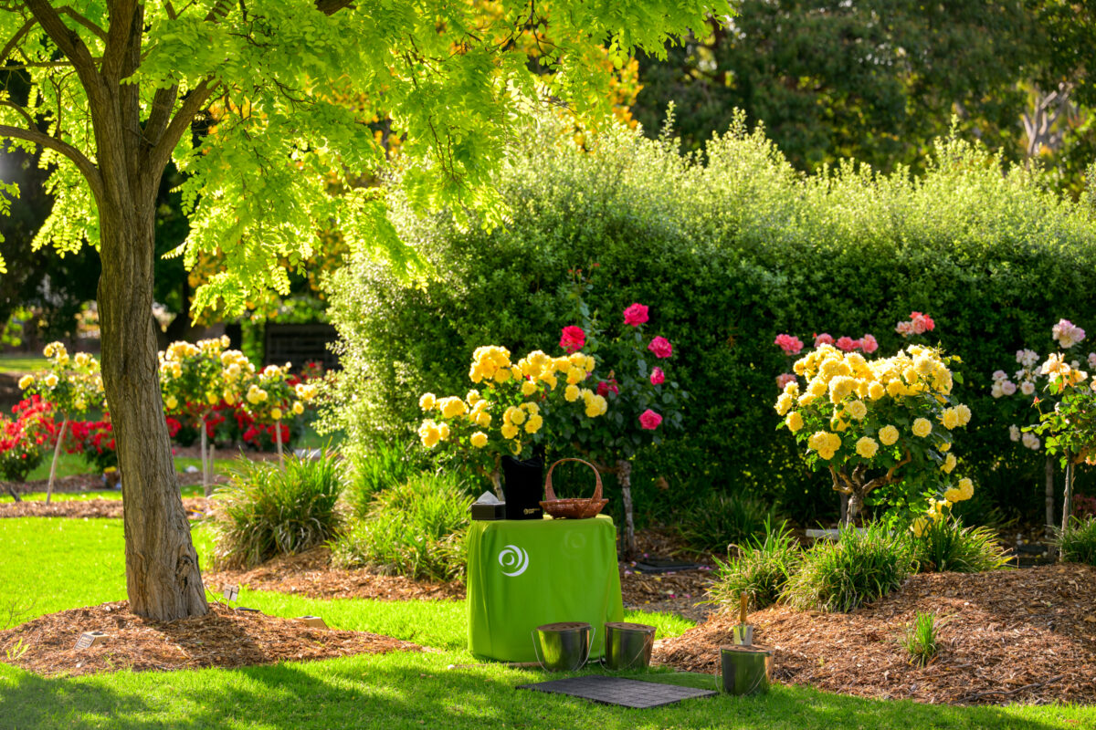 26-WITNESS-OF-ASHES-PLACEMENT_241031_Z8C3339_DxO_WebRes