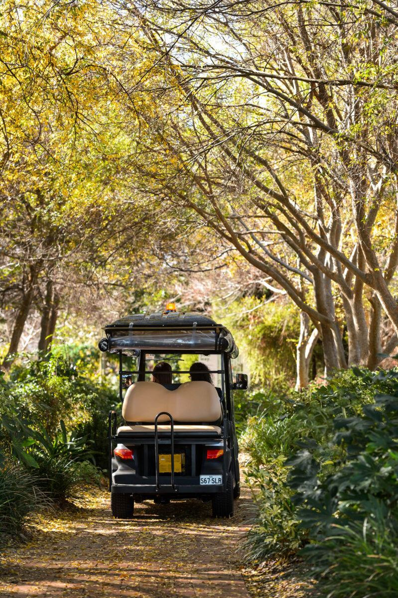 Centennial-Park_240710_D4P1012