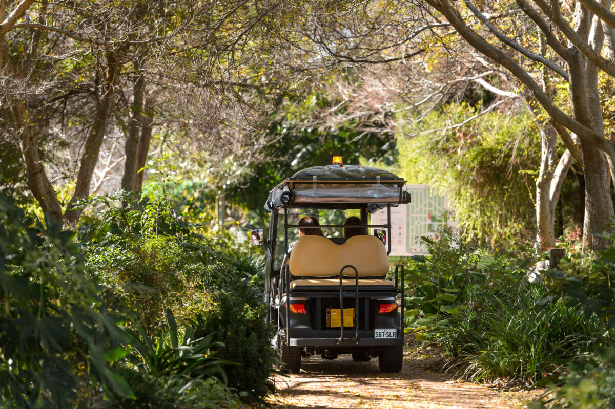 Centennial-Park_240710_D4P1016