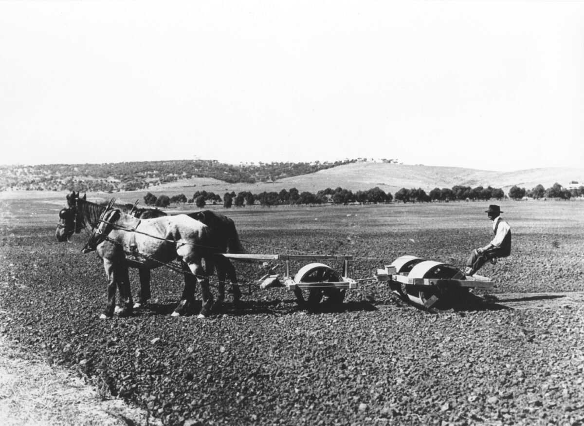 Centennial Park_Ragless Farm_1904