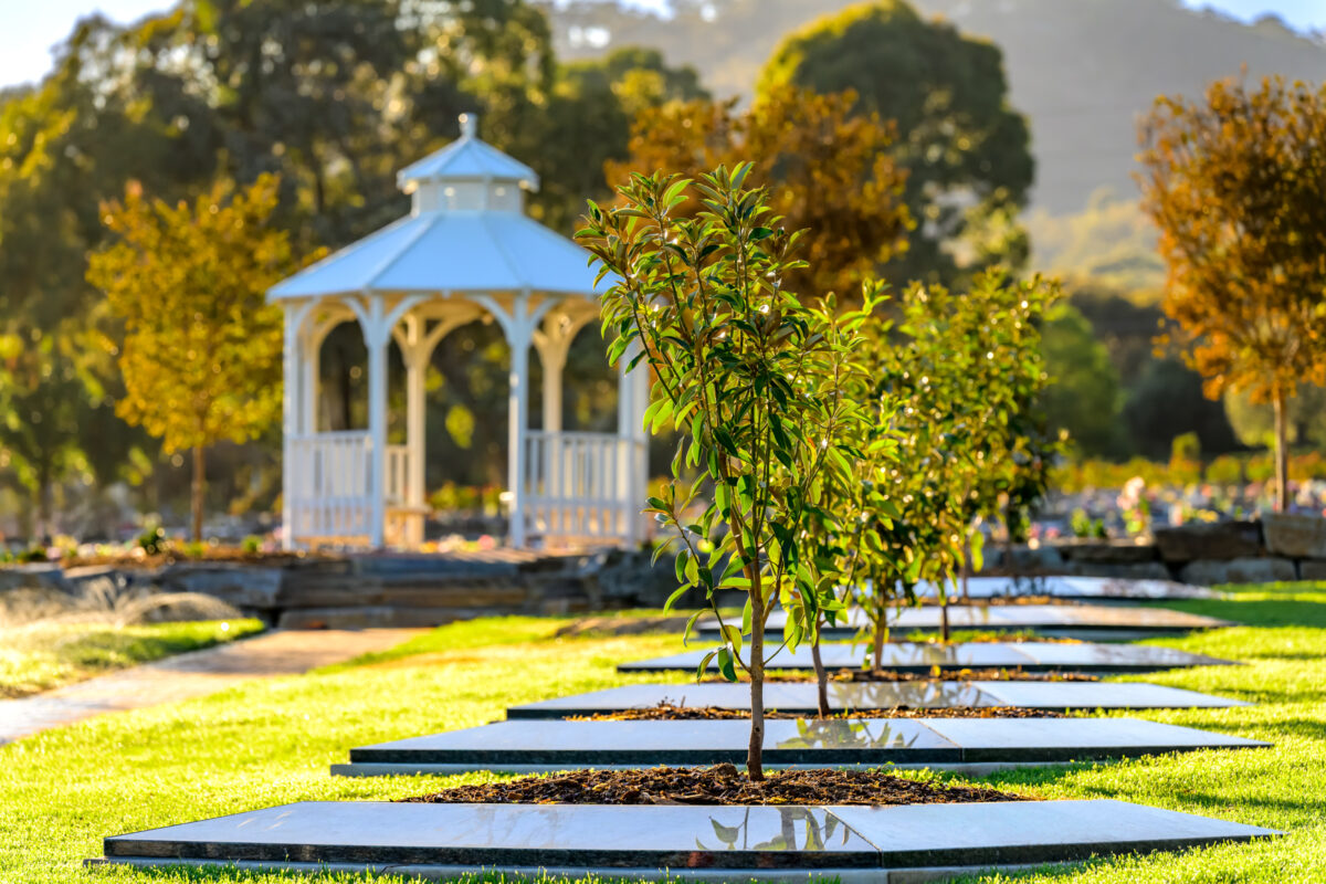 MARTENIQUE-2_250501_Z8E5170-Edit-250501-Edit-250501_WebRes