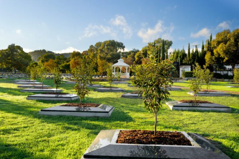 Introducing Martinque Grove 2