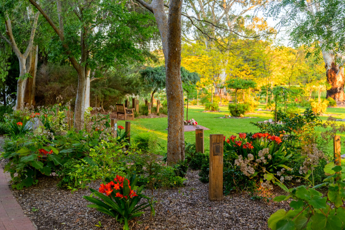 Queen-Adelaide-Walk_230928_Z9C3114-Edit-230928_WebRes