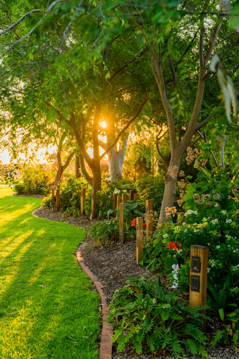 Queen-Adelaide-Walk_230928_Z9C3120-Edit-230928_WebRes