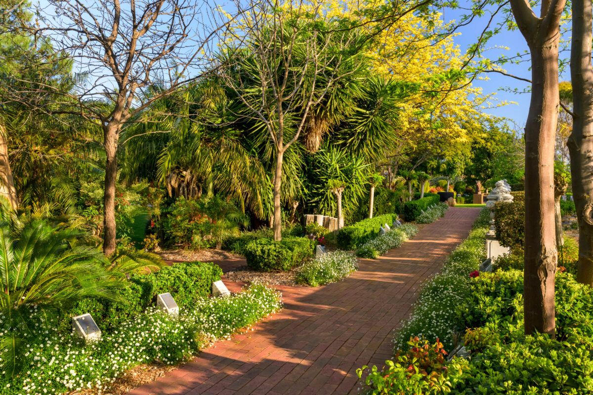 Springbank-West_230928_Z9C2610_WebRes