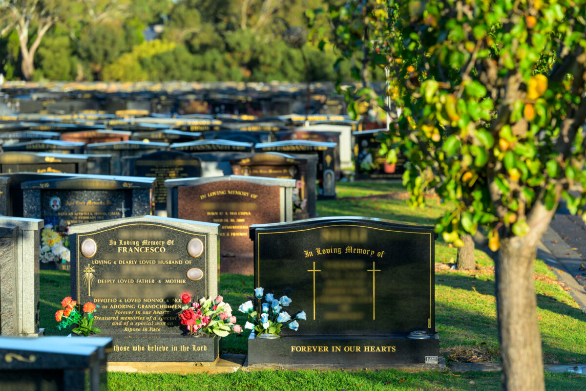 Wide-Headstones_240528_Z8C1041-Edit-240528-Edit-240528_WebRes