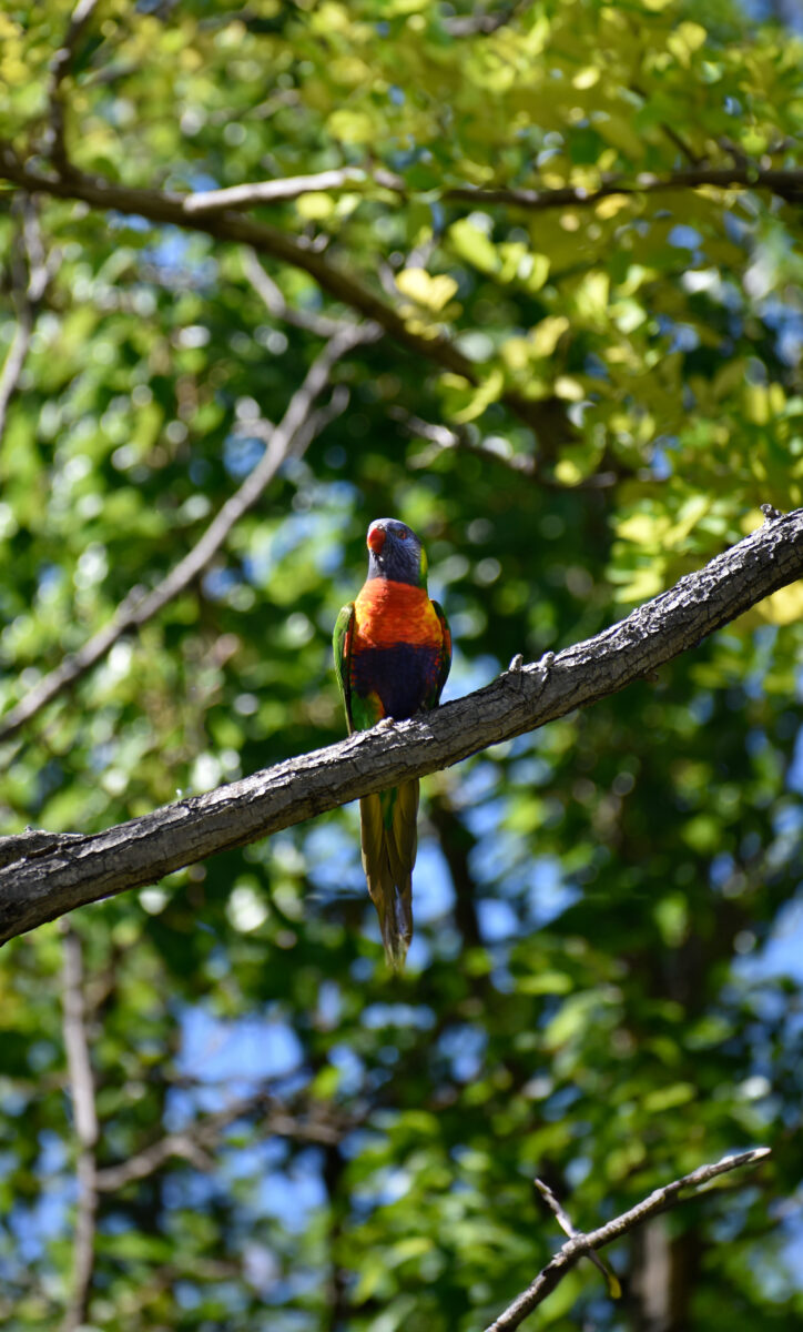 _DSC0520-Edit - Website - crop